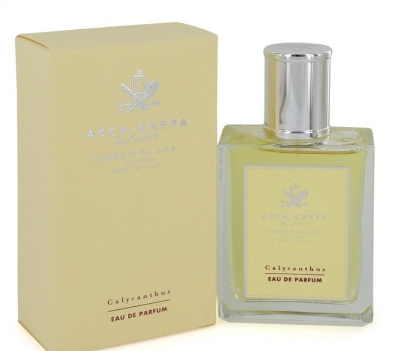 Acca Kappa Calycanthus Spray